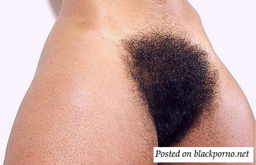Too Black Pussy - hairy black pussy - Black Porno Network