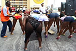 Group of girls bending over